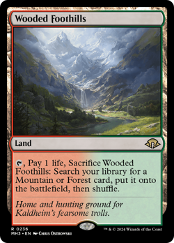 MTG ~ Wooded Foothills ~ Modern Horizons 3 ~ Near Mint ~ Rare - Image 1