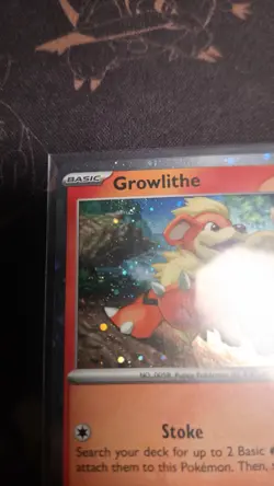 Pokemon - Growlithe SVP 024 Cosmos Holo With LP SWIRL - Image 4