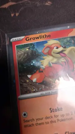 Pokemon - Growlithe SVP 024 Cosmos Holo With LP SWIRL - Image 5
