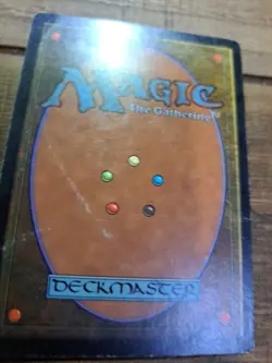 Scroll Rack Tempest - Image 5