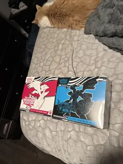 Pokemon TCG: Black Bolt & White Flare Elite Trainer Box ETB Bundle - Image 2