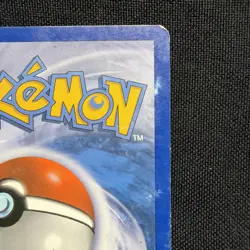 Entei 4/132 Cracked Ice Holo Secret Wonders Pokemon Card - Image 4