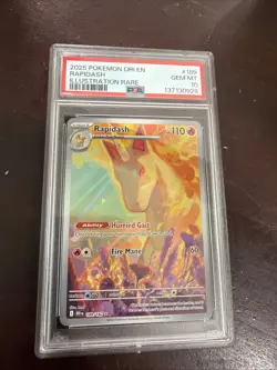 Pokemon TCG Rapidash 189/182 Destined Rivals Illustration Rare - PSA 10 - Image 1