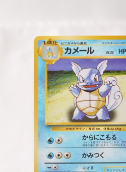 Pokemon TCG Wartortle No.008 No Rarity Symbol Old Back Base Set 1996 Japanese - Image 3