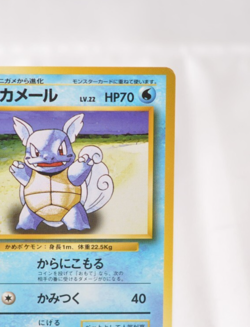 Pokemon TCG Wartortle No.008 No Rarity Symbol Old Back Base Set 1996 Japanese - Image 4