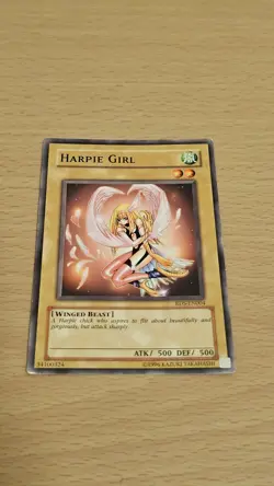 Harpie Girl RDS-EN004 Rise Of Destiny Common Yugioh Card - Image 1