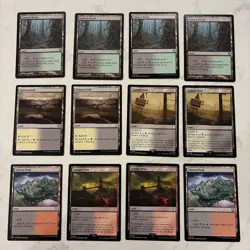 Magic the Gathering MTG Tainted Lands 12 Cards - Image 1