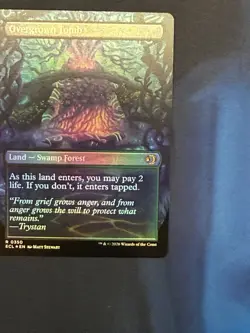 DDcards 🇨🇦 Mtg Magic Gathering Lorwyn Eclipse Borderless Foil Overgrown Tomb - Image 1