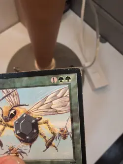 Killer Bees Legends Regular - Image 3