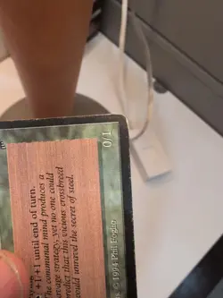 Killer Bees Legends Regular - Image 5