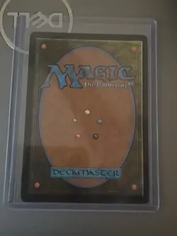 Sanctuary Warden [Streets of New Capenna] Magic MTG - Image 2