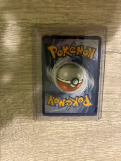 Pokemon 240 Pokemon TCG Trading Cards Collection 636996769661 - Image 3