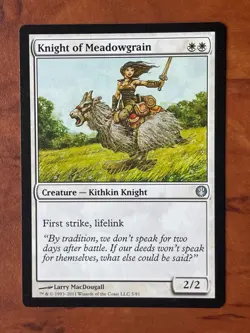 Knight of Meadowgrain MTG Magic the Gathering Card NM Near Mint DDE - Image 1