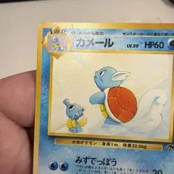 Wartortle Pokemon Card Japanese Game Nintendo Rare No.008 Southern Islands Beach - Image 2