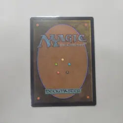 2021 MTG Magic The Gathering AFR Forgotten Realms Showcase #317 Delina Wild Mage - Image 2