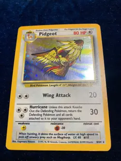 NO SYMBOL ERROR Pidgeot 8/64 Jungle 1999 Holo Rare WOTC Pokemon Card TCG NM- - Image 1
