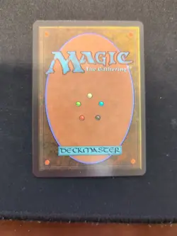 Tropical Island Revised Edition Regular - Image 3