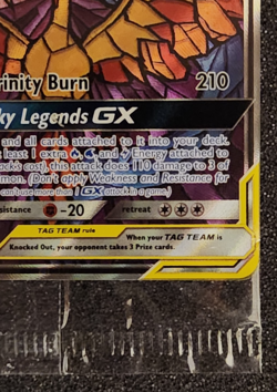 2019 Pokemon Moltres Zapdos Articuno GX Tag Team SM210 Black Star Promo-SEALED - Image 4