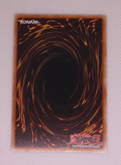 Dark Magician RA03-EN080 Yugioh Platinum Secret Rare Quarter Century Bonanza NM - Image 3