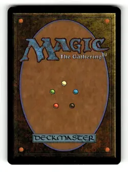 Didgeridoo Homelands Near Mint 1 - Image 2