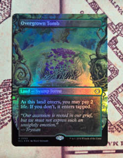 MTG Foil Overgrown Tomb Borderless Lorwyn Eclipsed NM - Image 1