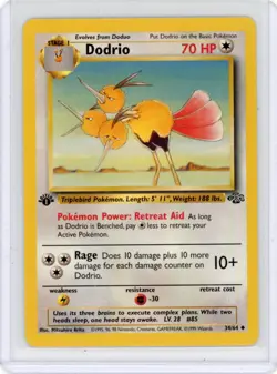 Dodrio 1st Edition Jungle Uncommon 34/64 Pokemon 1999 - Image 1