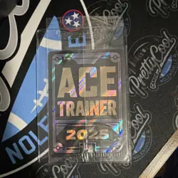 Pokemon 2025 Ace Trainer Celebratory Fanfare Black Star Promo 028 MEP English - Image 2
