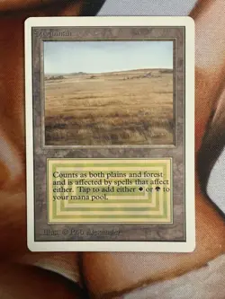 Magic the Gathering: MTG: Unlimited Edition: Savannah Dual Land (LP) - Image 2