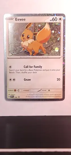 Pokemon TCG- 2025 Eevee 200 Cosmo Holo Black Star Promo Destined Rivals M/NM - Image 1
