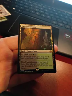 MTG / Overgrown Tomb / ECL / #266 / Regular / Rare / NM - Image 1