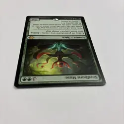 Seedborn Muse NM Commander Collection: Green MTG 004 / 008 English Regular - Image 4