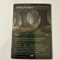 MTG: Shifting Woodland (Borderless) Modern Horizons 3 Foil - LP - - Image 1