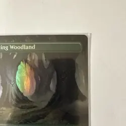MTG: Shifting Woodland (Borderless) Modern Horizons 3 Foil - LP - - Image 4
