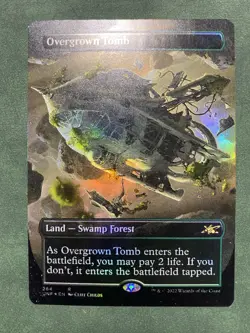 1x Overgrown Tomb (Borderless) Unfinity Foil MTG NM Magic Card - Image 1