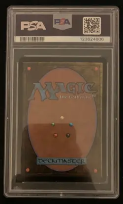 Terra, Herald of Hope Borderless Foil PSA 10 Graded Final Fantasy MTG - Image 2