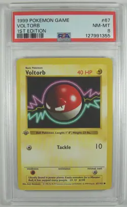 Pokemon 1999 Base Set 1ST EDITION VOLTORB 67/102 PSA 8 NM-MT RARE - Image 1