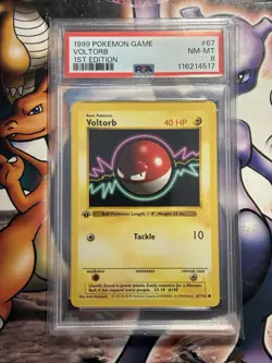 1999 Pokemon ~ Base Set 1st Edition ~ Voltorb #67 ~ PSA 8 NM-MT - Image 1