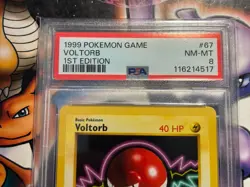 1999 Pokemon ~ Base Set 1st Edition ~ Voltorb #67 ~ PSA 8 NM-MT - Image 2
