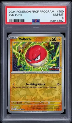 Professor Program Voltorb 2024 Reverse Holo PSA 8 - Image 1