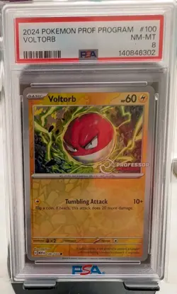 Professor Program Voltorb 2024 Reverse Holo PSA 8 - Image 2