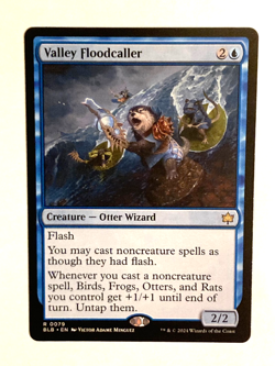 MTG - Valley Floodcaller / Bloomburrow / Regular / NM - Image 1