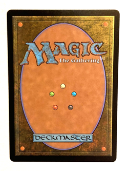 MTG - Valley Floodcaller / Bloomburrow / Regular / NM - Image 2