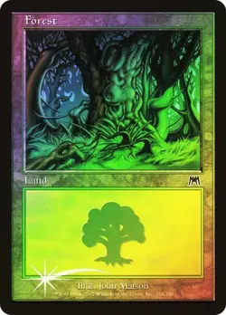 Onslaught MTG FOIL Forest (#348) Magic - Image 1