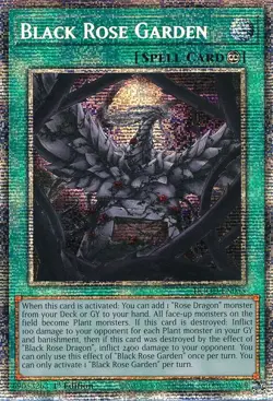 Yugioh! Black Rose Garden - DOOD-EN055 - Starlight Rare - 1st Edition Near Mint, - Image 1