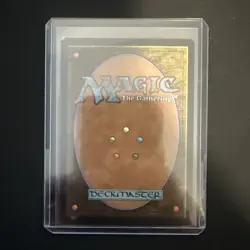 The Cabbage Merchant - Foil R MTG Avatar: The Last Airbender: Eternal M/NM - Image 2