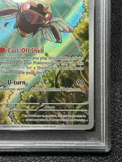 Ninjask 137/132 - PSA 10 - Illustration Rare - Pokemon TCG: Mega Evolution - Image 4