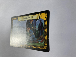 Harry Potter Trading Card Game WOTC 2002 Quidditch Card Muddy Practice 43/80 - Image 2