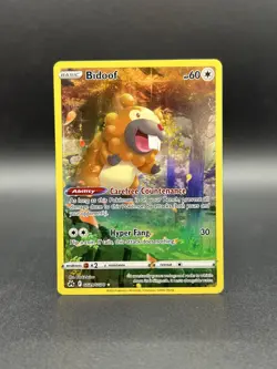 Bidoof GG29/GG70 Crown Zenith: Galarian Gallery Holo-NM Pokemon TCG - Image 1