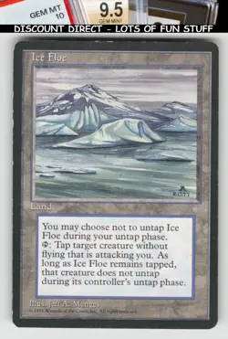 Magic_the_gathering Ice Age Ice Floe - Image 1