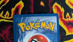 Pokemon TCG Raichu EX Holo Card EX Sandstorm 98/100 LP Condition - Image 3